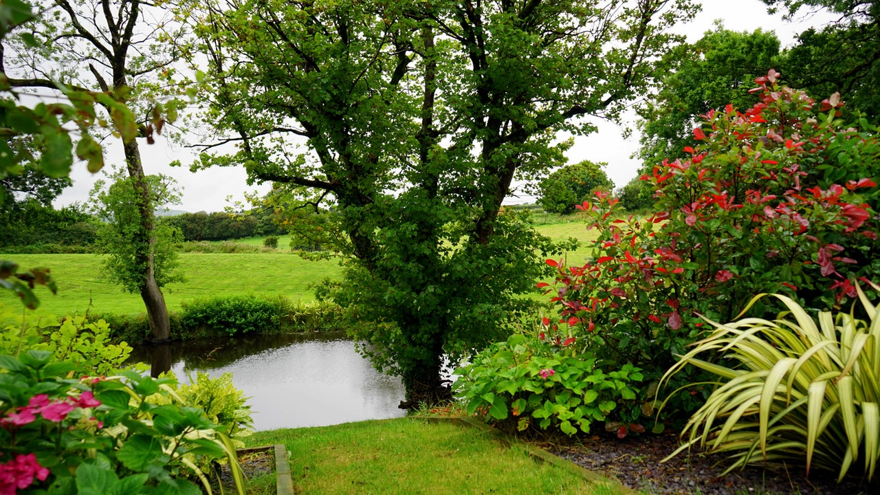 a garden by the pond