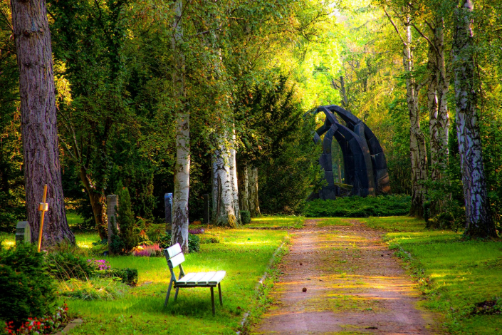 a long pathway in a large garden