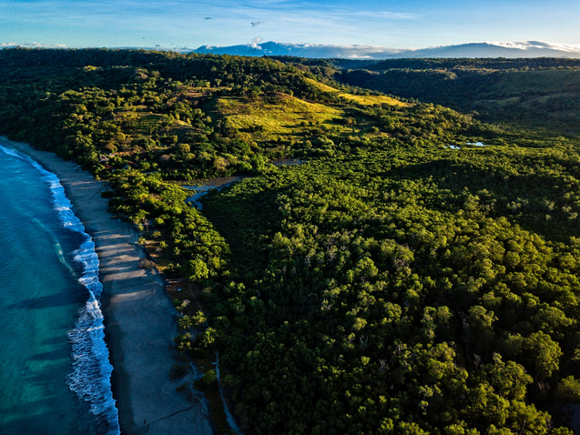 beach and forest
