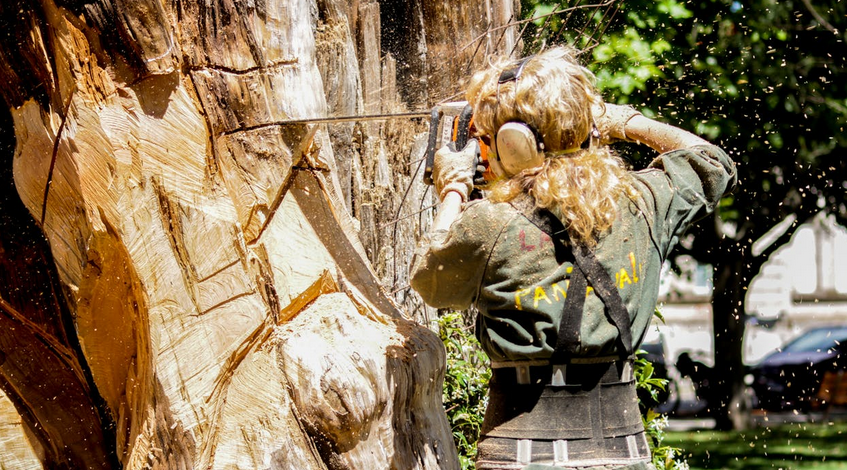 arborist